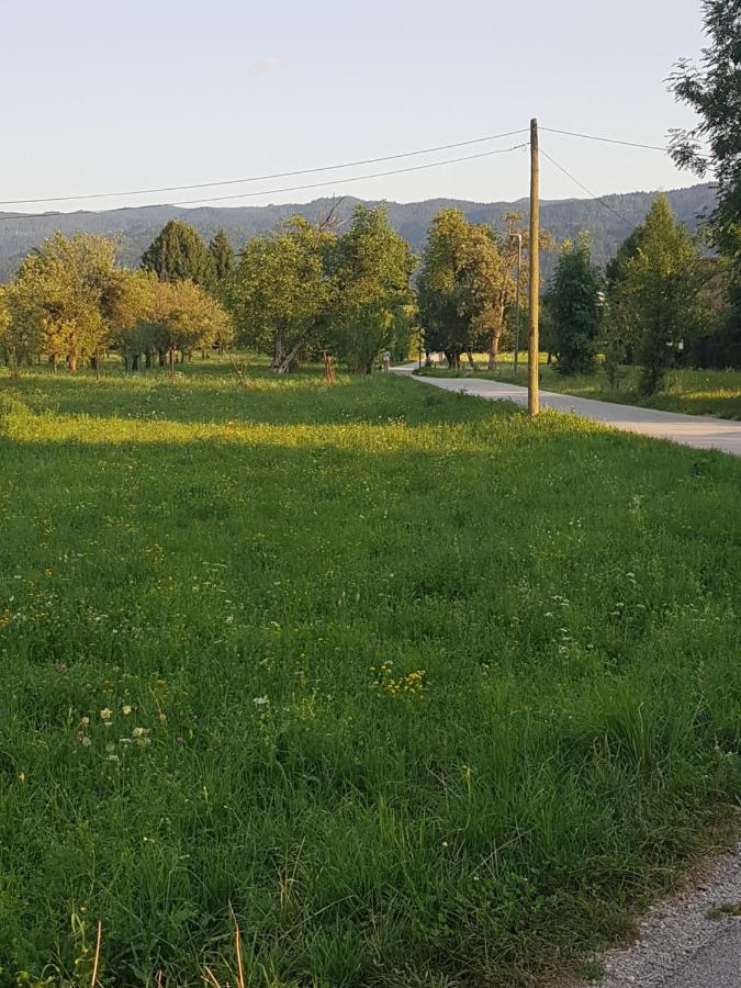 Apartments Maja Bled Zewnętrze zdjęcie